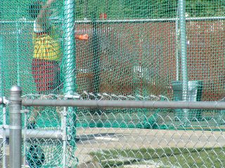 DSCF0007.JPG
