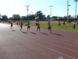 DSCF0009.JPG