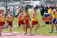 LgPrelims0280.JPG