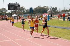 LgPrelims0282.JPG