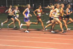 IMG_2666Arc.JPG