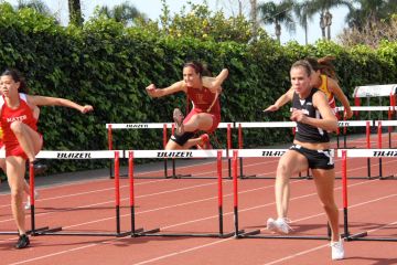IMG_1737MD.JPG