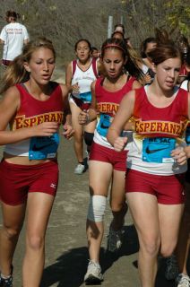 MT_SAC31.JPG