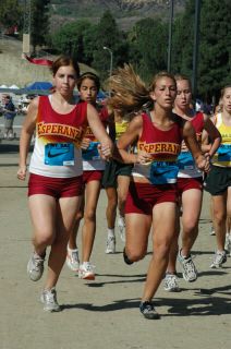 MT_SAC_4.JPG