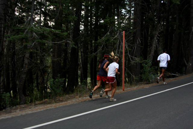 Mammoth1118.JPG