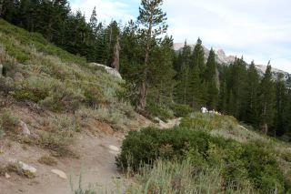 Mammoth1125.JPG